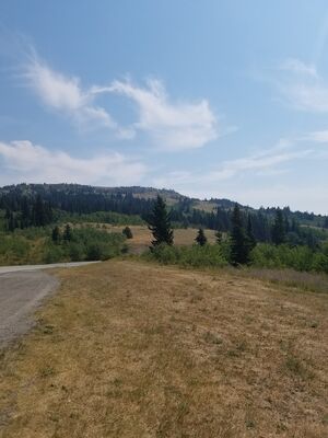 20170801_121458.jpg