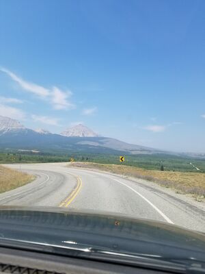 20170801_121913.jpg