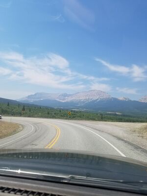 20170801_121916.jpg