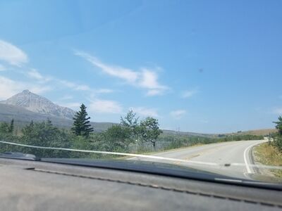 20170801_122401.jpg
