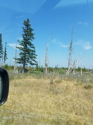 20170801_122605.jpg
