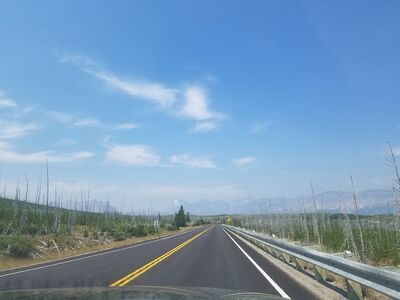 20170801_122704.jpg