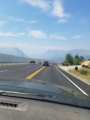 20170801_122902.jpg