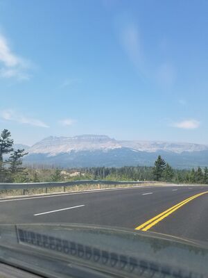 20170801_123139.jpg