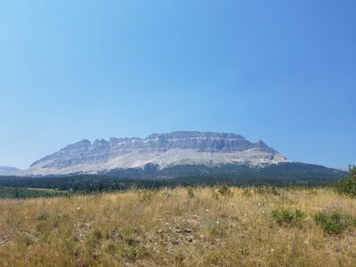 20170801_134431.jpg