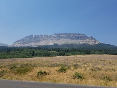 20170801_134452.jpg