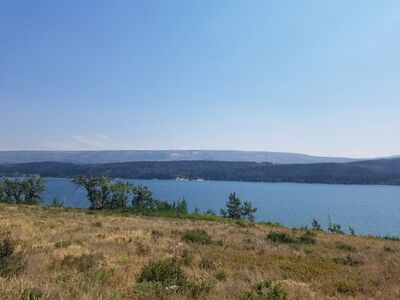20170801_134536.jpg