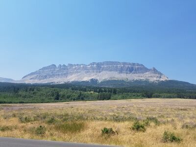 20170801_134552.jpg