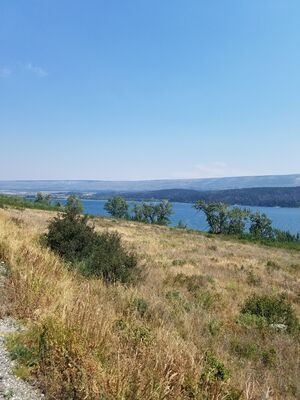 20170801_134603.jpg
