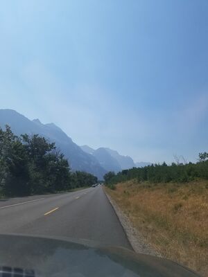 20170801_135036.jpg