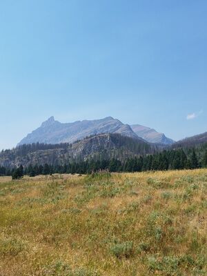 20170801_135108.jpg