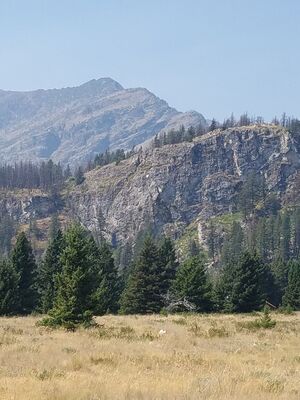 20170801_135119.jpg