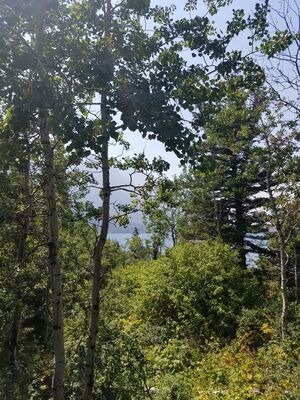 20170801_135615.jpg