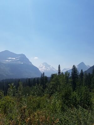 20170801_141320.jpg