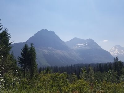20170801_141325.jpg