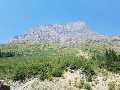 20170801_141338.jpg