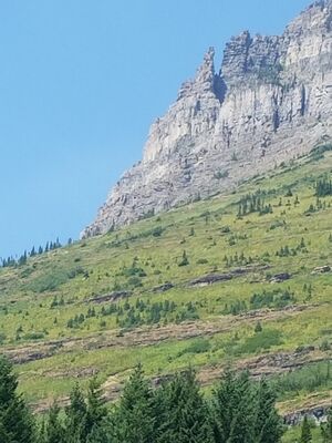 20170801_141431.jpg