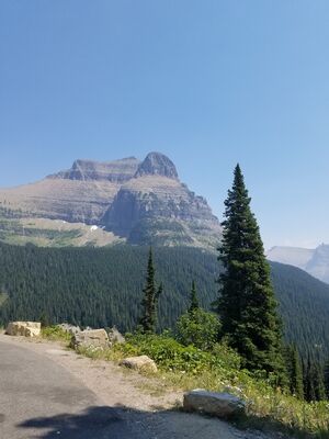 20170801_142715.jpg