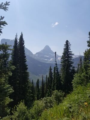 20170801_142806.jpg