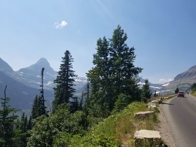 20170801_142819.jpg