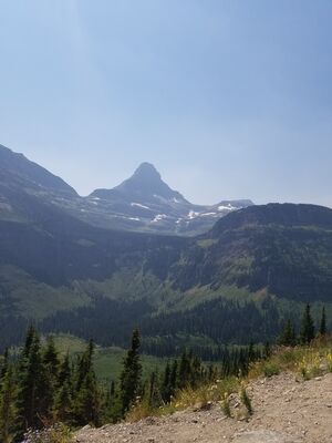 20170801_143127.jpg