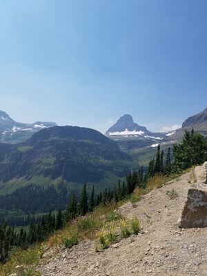 20170801_143145.jpg