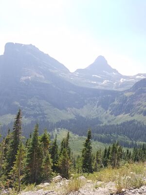 20170801_143209.jpg