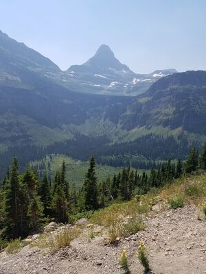 20170801_143244.jpg