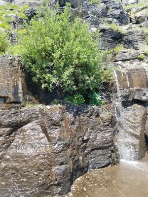 20170801_143524.jpg