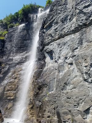 20170801_143546.jpg
