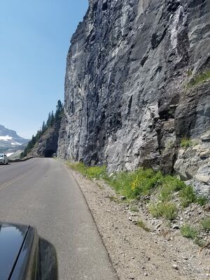 20170801_143557.jpg