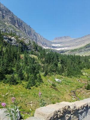 20170801_143731.jpg