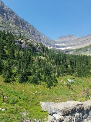 20170801_143732.jpg