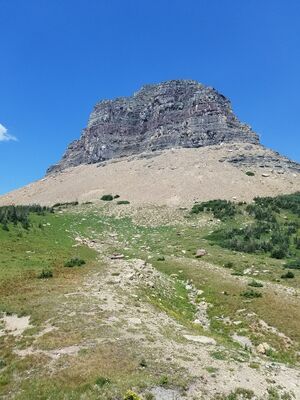 20170801_143911.jpg