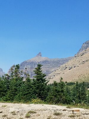 20170801_144556.jpg