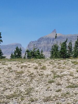 20170801_144600.jpg