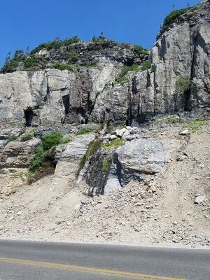20170801_144856.jpg