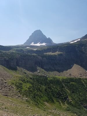 20170801_144916.jpg