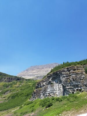 20170801_145735.jpg