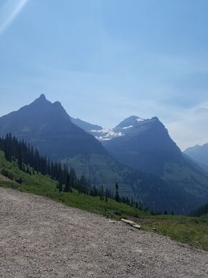 20170801_145746.jpg