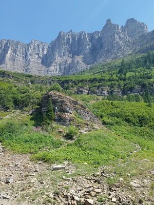 20170801_150320.jpg