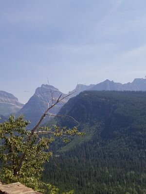 20170801_151924.jpg