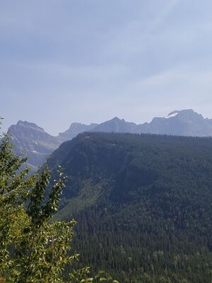 20170801_151928.jpg
