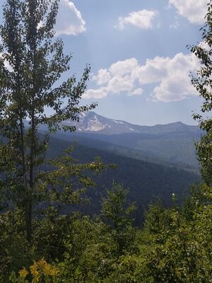 20170801_152107.jpg