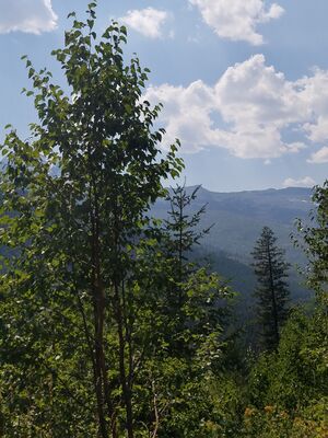 20170801_152118.jpg