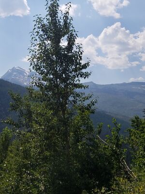 20170801_152119.jpg