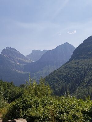 20170801_152211.jpg
