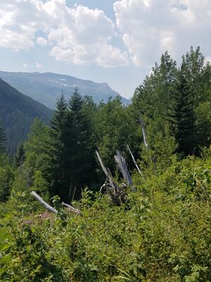20170801_152230.jpg