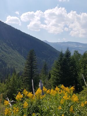 20170801_152241.jpg