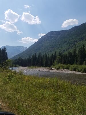 20170801_152907.jpg